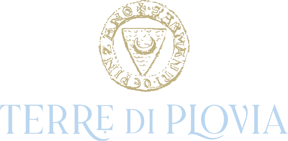 Terre di Plovia - About Logo